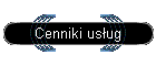 Cenniki usug