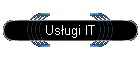 Usugi IT